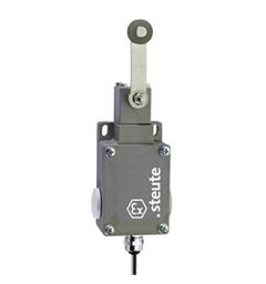 Ex Position switch ExM 61 DL 3m IP65 (1CO) II 2G Ex de IIC T6